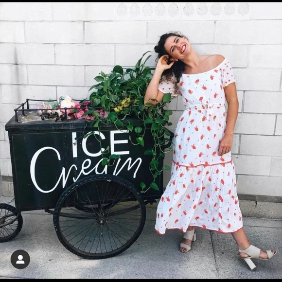 NWT Anthropologie Maeve Embroidered Floral  Esme Dress Size XSP - Picture 10 of 15